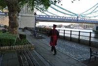 Die Wächter des Towers