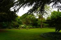 083 Oxford, Wadham College, Garten