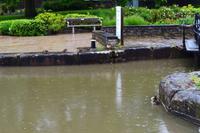 121 Stratford upon Avon, Enten an der Schleuse