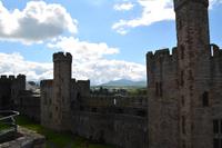 216 Caernafon Castle
