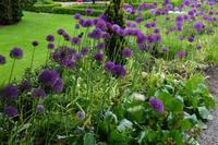 274 Wales, Bodnant Garden