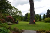 275 Wales, Bodnant Garden