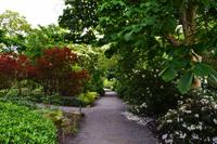 288 Wales, Bodnant Garden