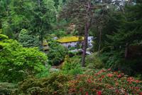 290 Wales, Bodnant Garden