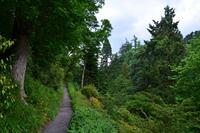 291 Wales, Bodnant Garden