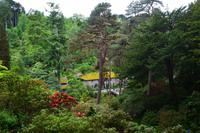 292 Wales, Bodnant Garden