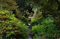 294 Wales, Bodnant Garden