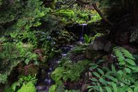 295 Wales, Bodnant Garden