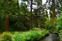 298 Wales, Bodnant Garden
