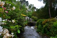 302 Wales, Bodnant Garden