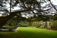 311 Wales, Bodnant Garden