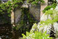 313 Wales, Bodnant Garden