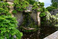 314 Wales, Bodnant Garden