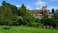 526 Jedburgh Abbey