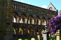 534 Jedburgh Abbey