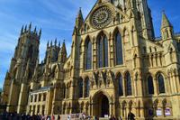 559 Yorker Minster