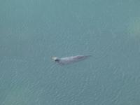 Pembrokeshire Coast Path