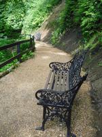 Shanklin Chine - Isle of Wight