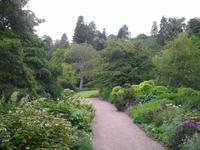 Killerton Garden