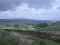 Dartmoor