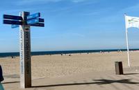 Von Hoek in die Welt