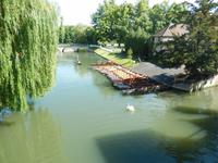 Noch herrscht Ruhe auf der Cam