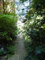 Weg ins Grüne zwischen den Colleges in Cambridge