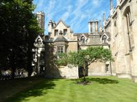 Newtons Apfelbaum vor dem Trinity