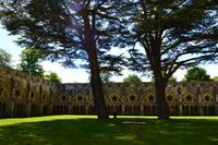 097 Salisbury Cathedral, Kreuzgang