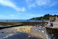 108 Dawlish, Englische Riviera