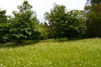 119 Knightshayes Court