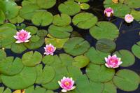 131 Knightshayes Court