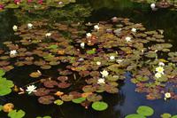 132 Knightshayes Court