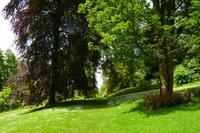 136 Knightshayes Court