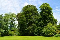 139 Knightshayes Court