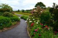 179 National Botanic Garden of Wales