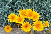 180 National Botanic Garden of Wales