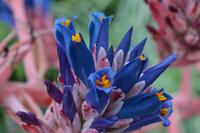 182 National Botanic Garden of Wales