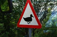 390 Schottisches Verkehrsschild