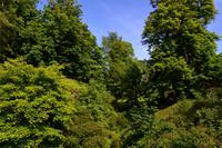 427 Skye, Armadale Castle & Garden