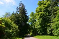 428 Skye, Armadale Castle & Garden