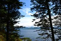 432 Skye, Armadale Castle & Garden