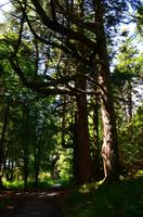 437 Skye, Armadale Castle & Garden