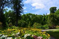 441 Skye, Armadale Castle & Garden