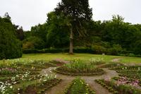 510 Skye, Dunvegan Castle Garden