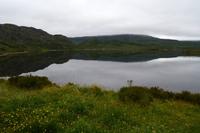 527 Loch Bad an Sgalaig