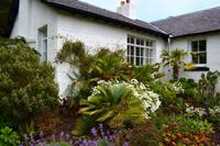 541 Inverewe Garden