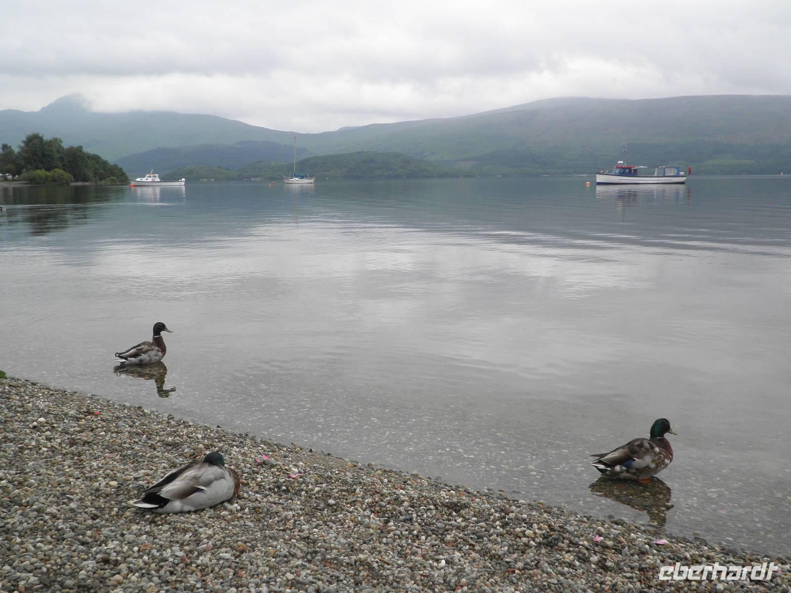 Luss Loch Lomond