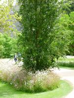 Schlossgarten in Arundel