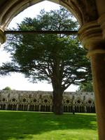 Kreuzgang in Salisbury